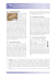 Vorschaugrafik 2 für das  Arbeitsblatt Habemus Papam: How the New Pope was Elected von Lehrermaterial.de.