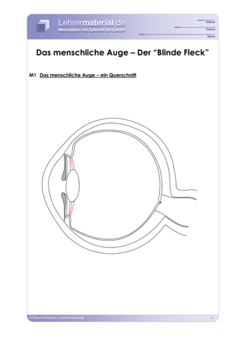 Vorschaugrafik 1 für das  Arbeitsblatt Das menschliche Auge – Der Blinde Fleck von Lehrermaterial.de.