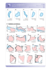 Vorschaugrafik 2 für das  Arbeitsblatt Die Bundesländer: Kennst du Hamburg? von Lehrermaterial.de.