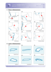 Vorschaugrafik 3 für das  Arbeitsblatt Die Bundesländer: Kennst du Niedersachsen? von Lehrermaterial.de.