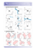 Vorschaugrafik 3 für das  Arbeitsblatt Die Bundesländer: Kennst du das Saarland? von Lehrermaterial.de.