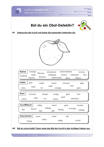 Vorschaugrafik 1 für das  Arbeitsblatt Bist du ein Obst-Detektiv? von Lehrermaterial.de.